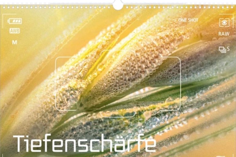 Bildkalender mit Nahaufnahme von feinen Grashalmen mit Wassertropfen im sanften Licht.